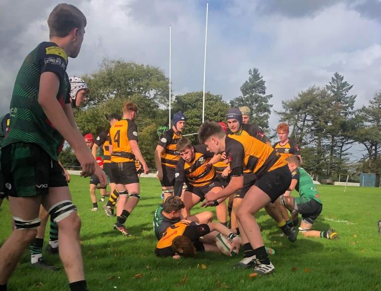 Wasps seal the ball